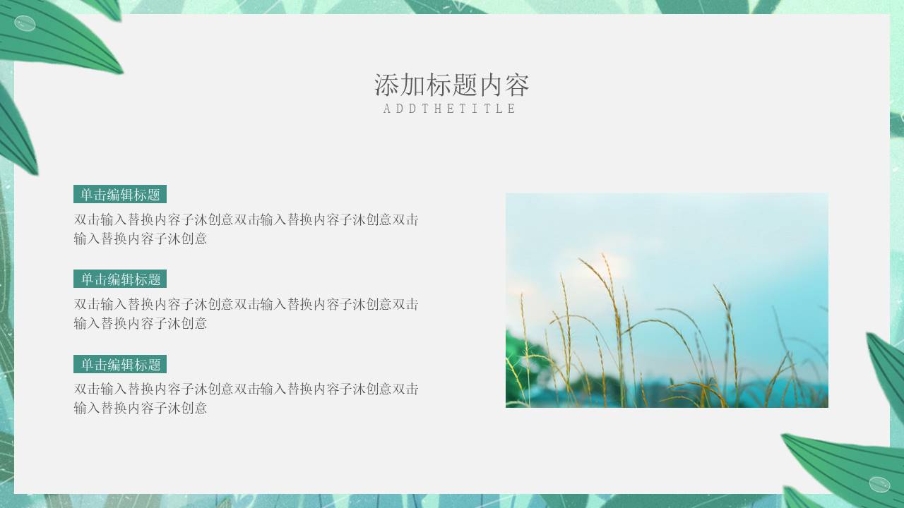 教育课件 (43).pptx
